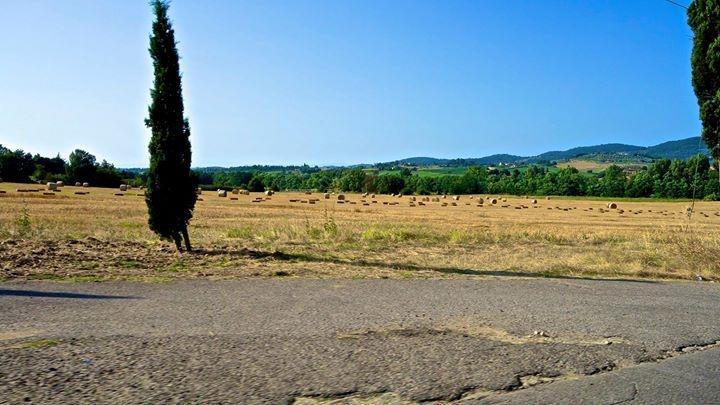 Appartamento Old England In Chianti Montespertoli Eksteriør bilde